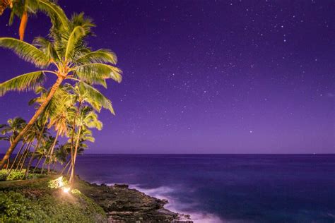 Hawaiian Night Netbet