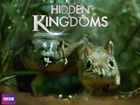 Hidden Kingdom Sportingbet