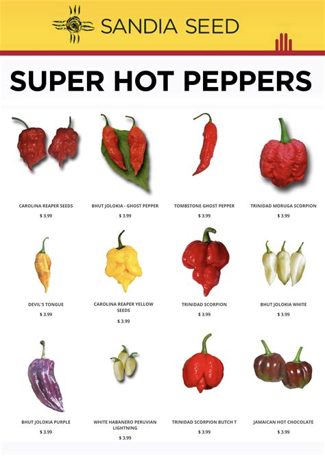 Hot Pepper Review 2024