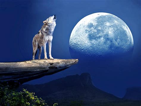 Howling At The Moon Parimatch