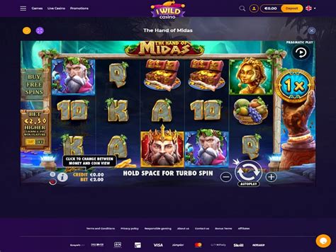 Iwild Casino Online