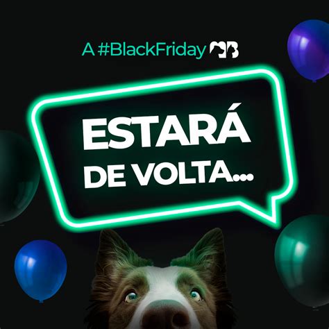 Jack S Animais De Estimacao Black Friday