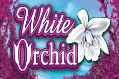 Jogar White Orchid Com Dinheiro Real