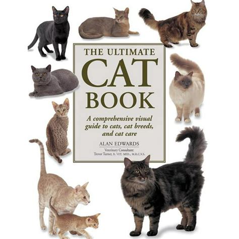 Jogue Book Of Cats Online