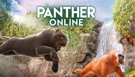 Jogue Book Of Panther Online