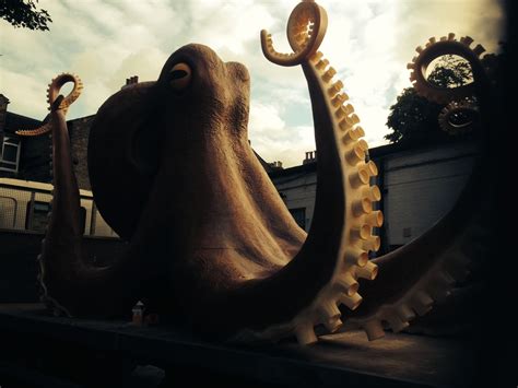 King Octopus Betfair