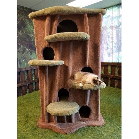 Kitty Condo Betway