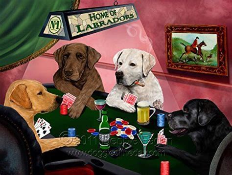 Labrador Poker