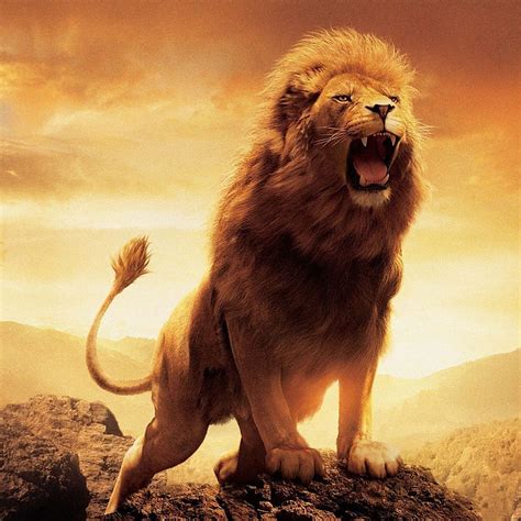 Lion S Roar Betsul