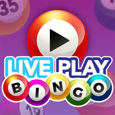 Live Bingo Casino