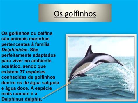 Livre Golfinhos Perola De Fenda