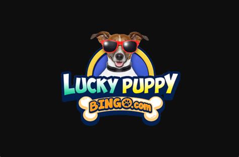 Lucky Puppy Bingo Casino Haiti