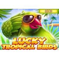 Lucky Tropical Birds 3x3 Novibet