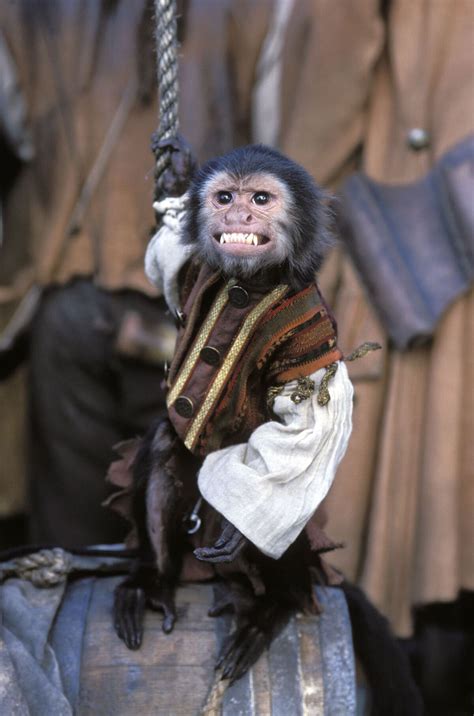 Monkey Pirates Betsul