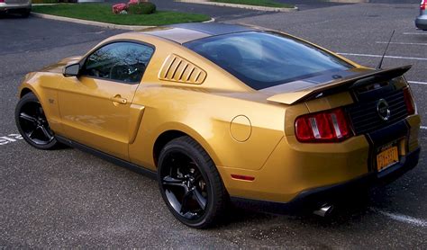 Mustang Gold Brabet