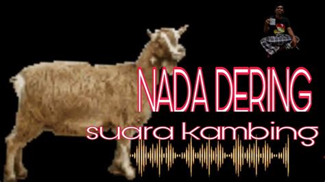 Nada Dering Suara Poker