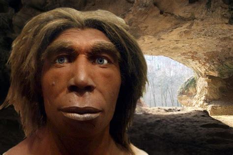 Neanderthals 1xbet