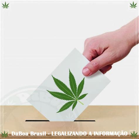 O Jogo De Legalizacao Em Nova Jersey