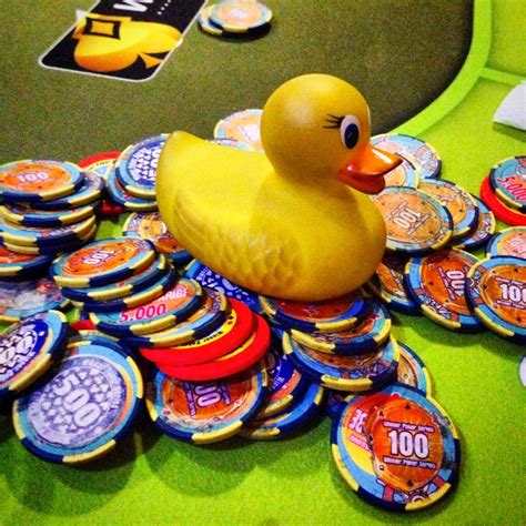Pato Poker Caso