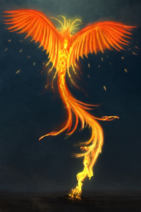 Phoenix Reborn Bodog