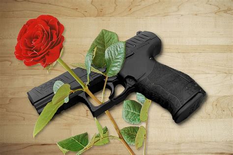 Pistols Roses Brabet