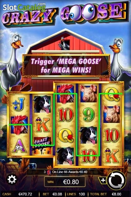 Play Crazy Goose Slot