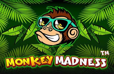Play Monkey Madness Slot