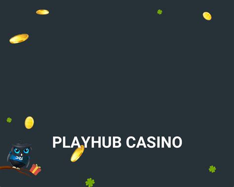 Playhub Casino Apostas