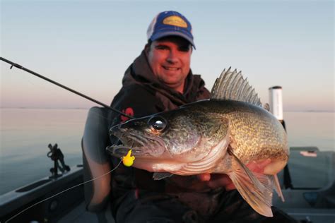 Red Lake Mn Walleye De Fenda