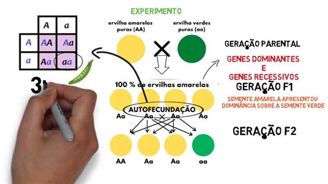 Roleta Genetica Legendas Em Espanhol
