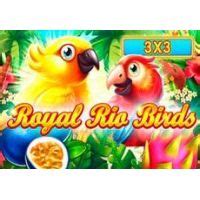 Royal Rio Birds 3x3 Bodog