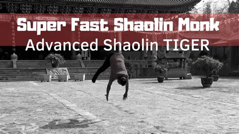 Shaolin Tiger 1xbet
