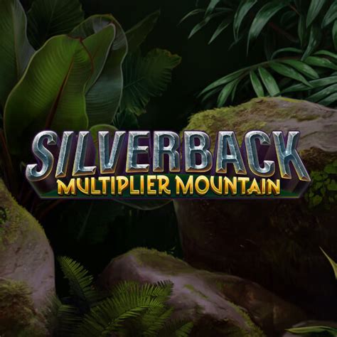 Silverback Multiplier Mountain Betsul
