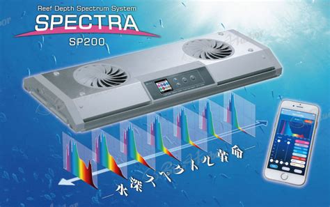 Spectra Betway