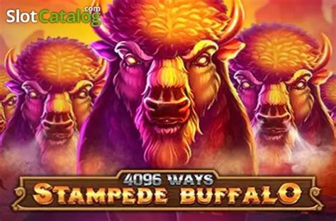 Stampede Buffalo 4096 Ways Review 2024