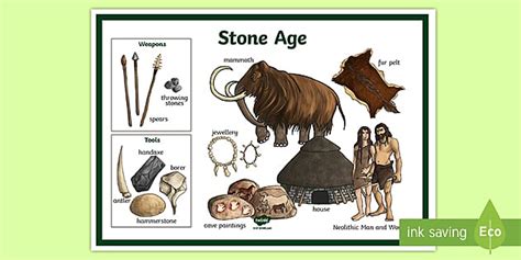 Stone Age Review 2024