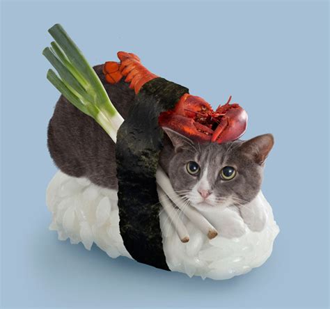 Sushi Cat Betano