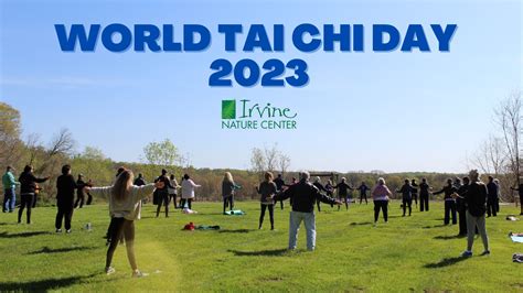 Tai Chi Review 2024