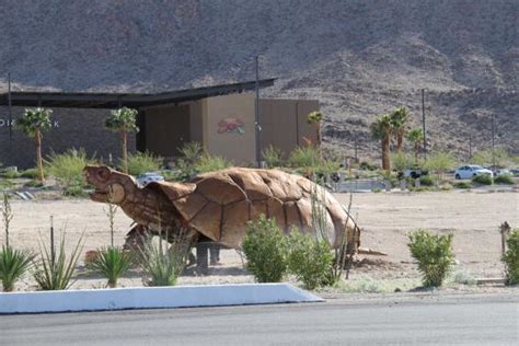 Tartaruga Casino 29 Palms Ca