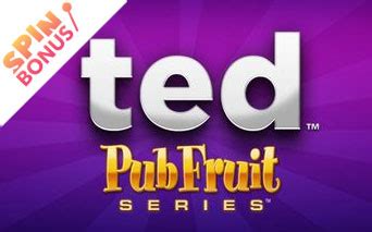 Ted Pub Fruit Brabet