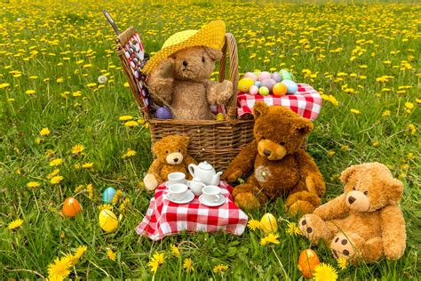 Teddy Bears Picnic Bwin