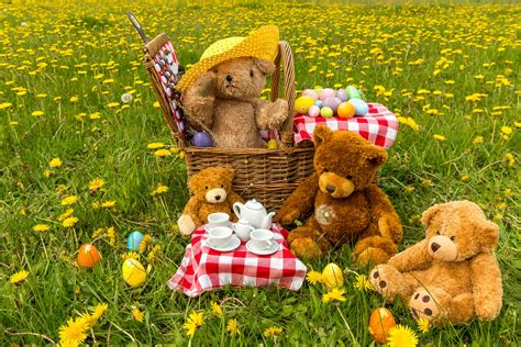 Teddy Bears Picnic Novibet