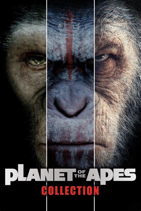 The Apes Betano