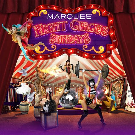The Circus Night Brabet