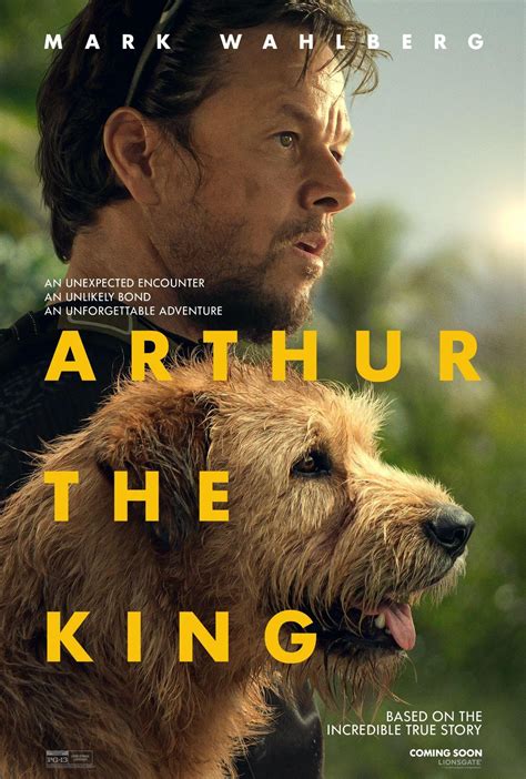 The King Review 2024