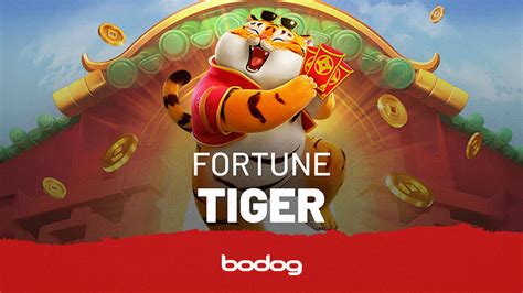 Tiger Cash Bodog