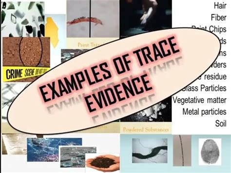 Traces Of Evidence Betano
