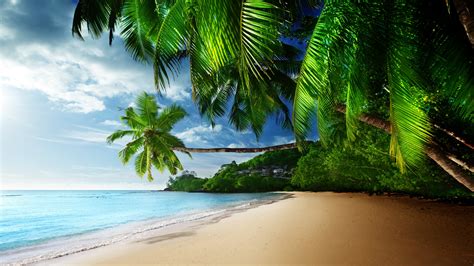 Tropic Paradise Bet365