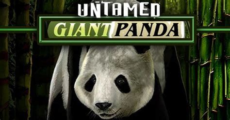 Untamed Giant Panda Netbet