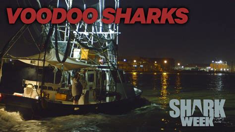 Voodoo Shark Netbet